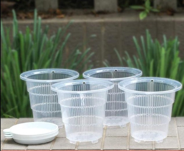 Clear Orchid Pot Set Breathable Slotted Clear Plastic (4pcs)