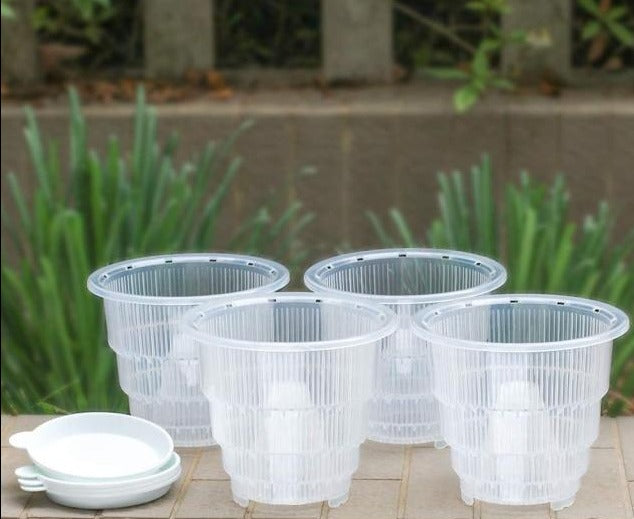 Clear Orchid Pot Set Breathable Slotted Clear Plastic (4pcs)