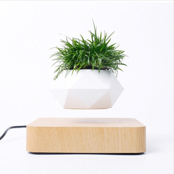 Levitating Air Bonsai Pot Magnetic Levitation Home Desk Decor