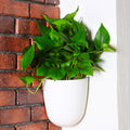 Corner Planter Wall Mounted Plant Pots Vertical Hanging Planters